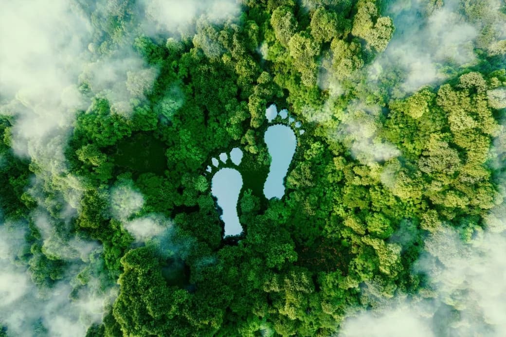 Aerial view of a footprint-shaped lake surrounded by forest and mist.